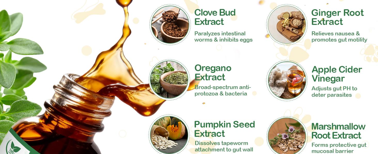 Petrivium Natural Intestinal Defense for Cats & Dogs Herbal Cleanse with Probiotic Triple Action Probiotics Supplement Drops for Gut Health Digestion Broad Spectrum Formula for All Ages and Breeds 2 Oz Petrivium Natural Intestinal Defense for Cats & Dogs Herbal Cleanse with Probiotic Triple Action Probiotics Supplement Drops for Gut Health Digestion Broad Spectrum Formula for All Ages and Breeds 2 Oz