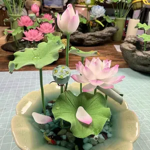 20Pcs Rare Bowl Lotus Seeds – Compact Aquatic Flower Seeds for Home Water Gardens (Seeds Only, Not Live Plants)