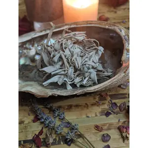 Sage Smudge Loose California White Sage for Purification Ceremony Rituals Protection Sacred Incense Dried Clusters & Leaves Bulk Wholesale