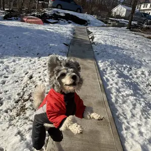 Autumn/Winter New Fleece Warm Dog Clothes, Waterproof Leashable Four-Legged Pet Jacket, Outdoor Reflective Anti-Cold Dog Coat