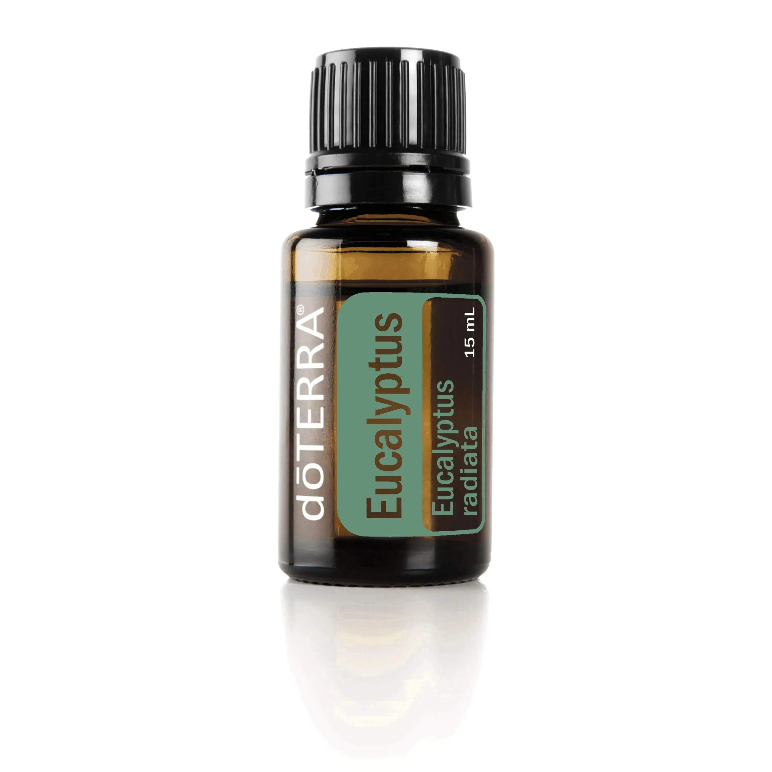 EUCALYPTUS OIL