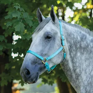 Dura-Tech Draft Horse Nylon Breakaway Turnout Halter