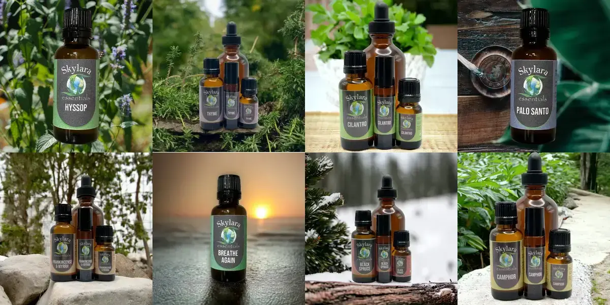 background preload poster image 