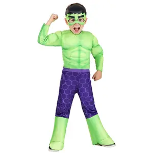 Toddler The Incredible Hulk Costume