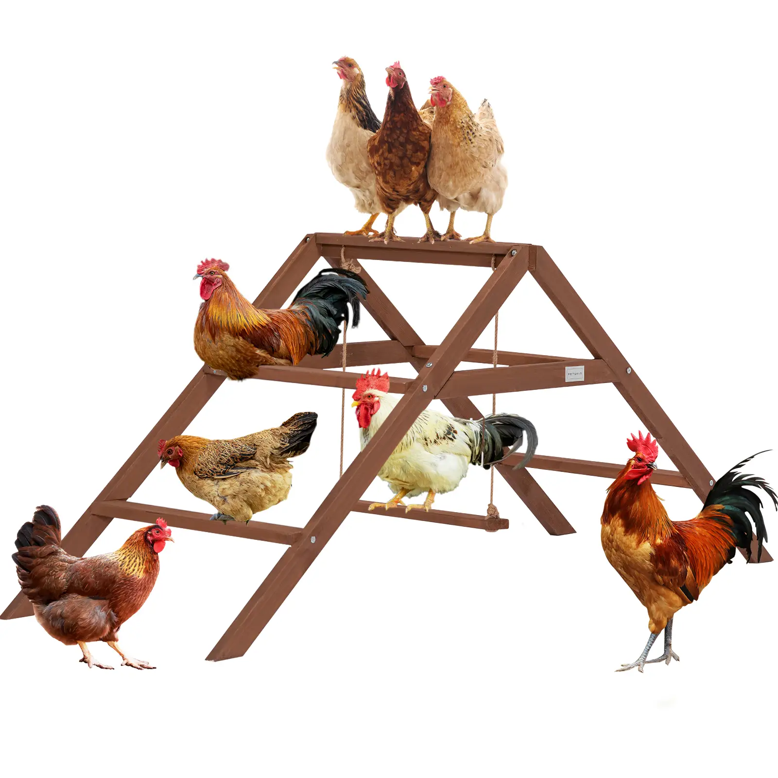 PETSFIT Adjustable Chicken Roosting Bars w/Swing - For 8-10 Chickens, Durable Wooden Perches & Ladder, Easy Clean & Assemble (Healthy Happy Pets)