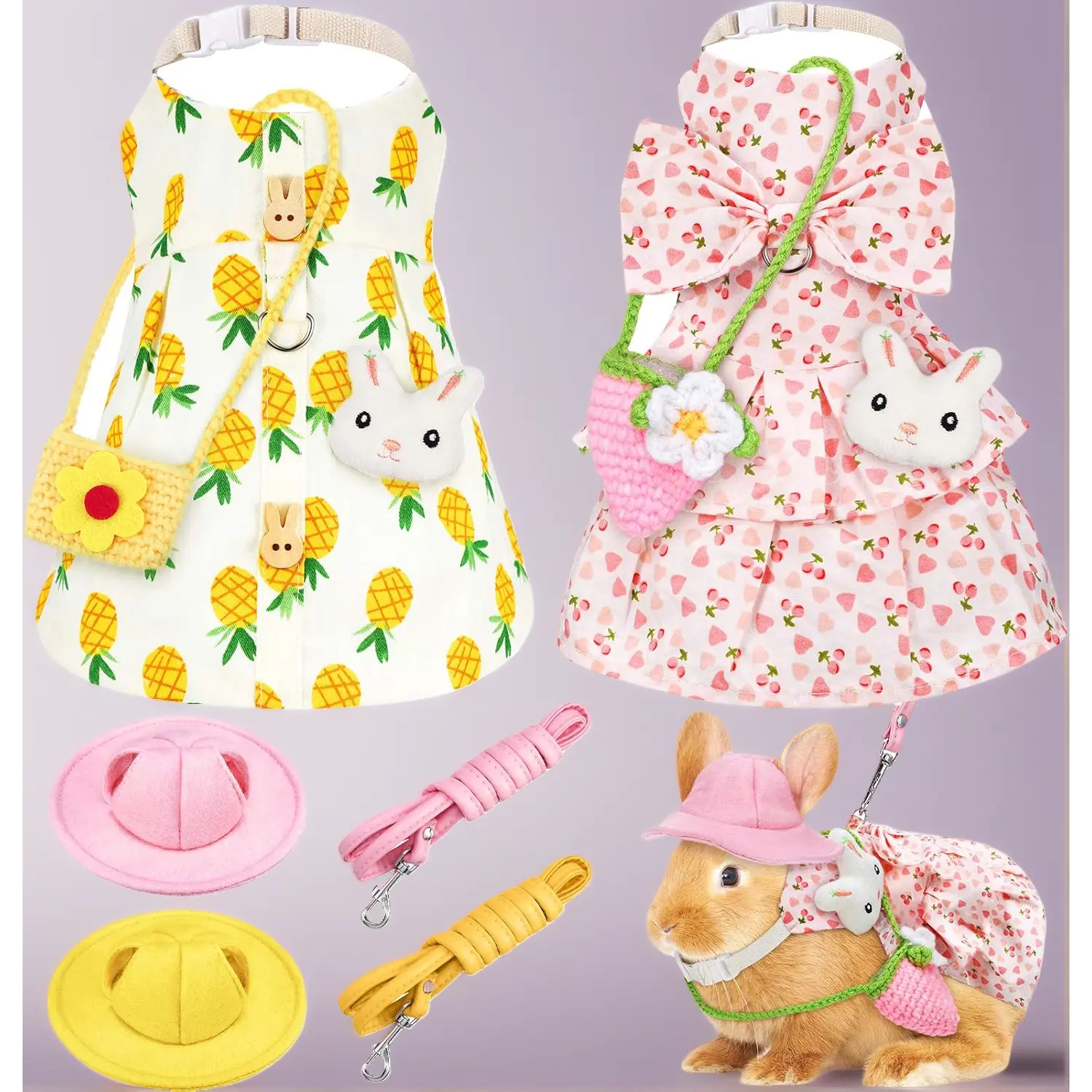 Ready for Their Close-Up! 2 Complete Ensembles Turn Your Pet into a Star. The Hat, the Bag, the Leash-Total Style, Zero Stress. (Fits Most Small Furry Friends)