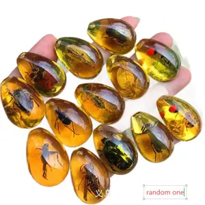 Random 1pc Insect Amber Specimen Blind Box, Kids Digging Archaeology Scorpion Spider Bug Amber, Student Science Teaching Pendant Gift