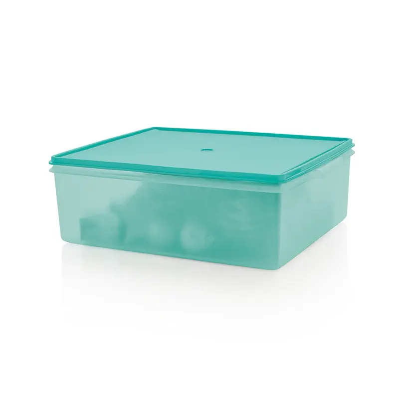 Large storage tote