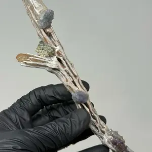 8.0” inch Grape Agate, Amethyst, Quartz, Citrine and Cholla Cactus Handcrafted WAND Unique Artisan Crafted Design
