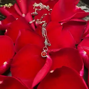 Brianna. Charm necklace. Meaning modesty & nobility.