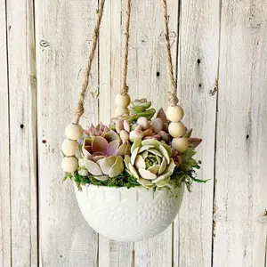 Hanging Succulent White Ceramic Planter with Living Succulents, Ideal for Home Decor & Garden Decor, Perfect for Valentine's Gift