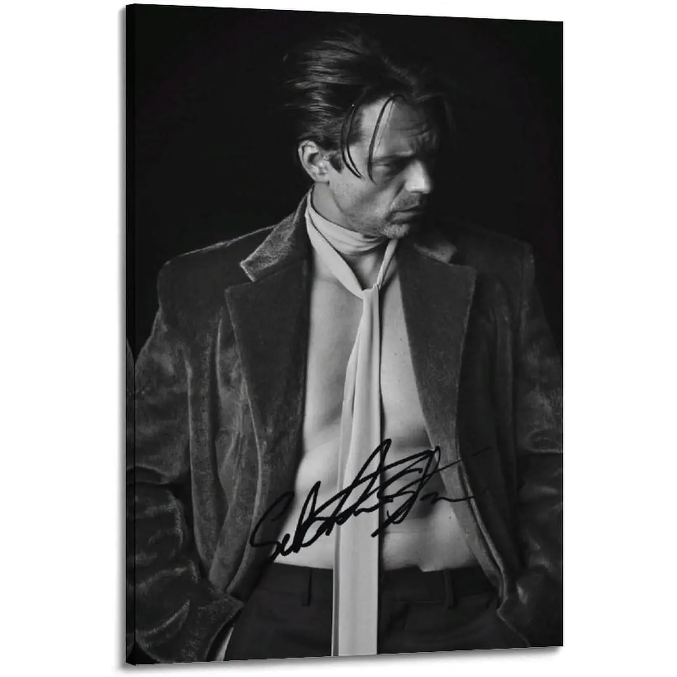 Sebastian Stan Signed Photo Canvas Wall Art Prints - Frame-Style Posters with Photorealism, Modern Wall Decor Artwork, Ideal Gift for Home Supplies Enthusiasts