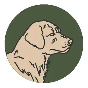 background preload poster image 