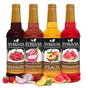 Syruvia Fruit Flavors Variety Pack – Raspberry, Dragon Fruit, Peach & Watermelon Syrup – Perfect for Cocktails, Lemonade,  Iced Tea & Beverages – 25.4 Fl oz Bottles (4 Pack)