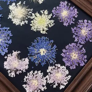 6pcs,Scabiosa Large Pressed Flower DIY Resin Jewelry Photo Frame,Painting Dry Flower Supplies for Student Projects Home Decor