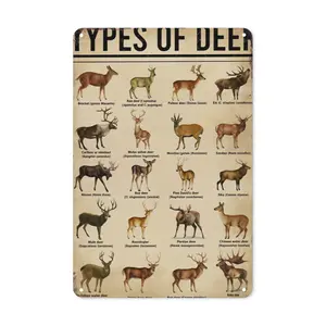 YY4 Deer Type" Educational Metal Iron Box Sign, Vintage Mural, 20.32*30.48 Cm, Vintage Deer Species And Variety Decoration, No Electricity, Suitable For Home, Office, Wooden House, Wooden House, Gift