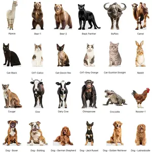 Donkey - Life Size Cardboard Cutout Standup People with Support Standee | Animals -