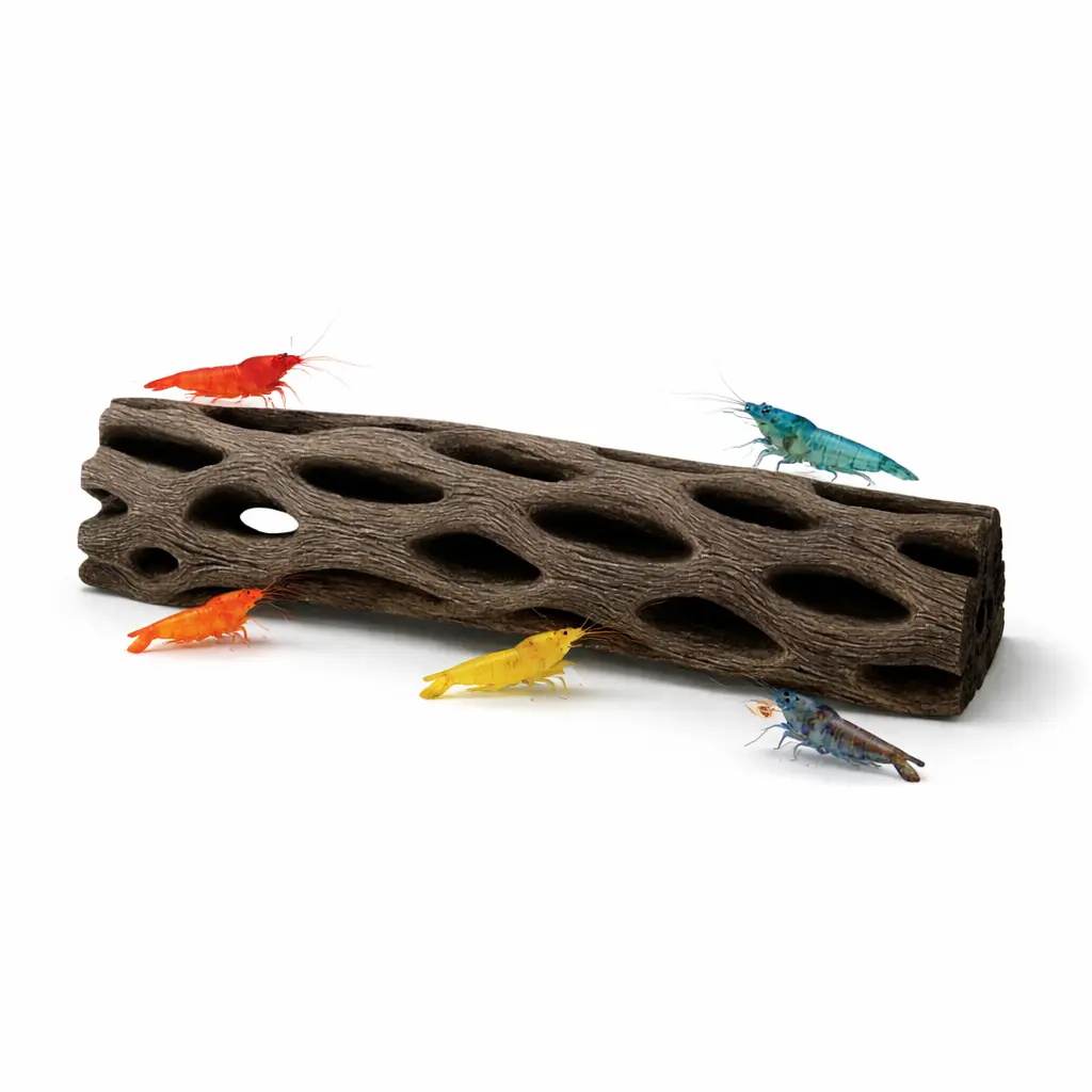Cholla Wood
