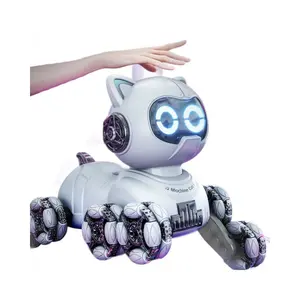 Children's toy mechanical cat intelligent eight-wheeled stunts cool remote control car drift deformation robot cat