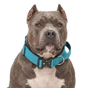 Heavy Duty Teal Blue Polyester Dog Collar with Control Handle and Metal Buckle, Comfortable No-Chafe Padded Walking Collar for Large Active Dogs