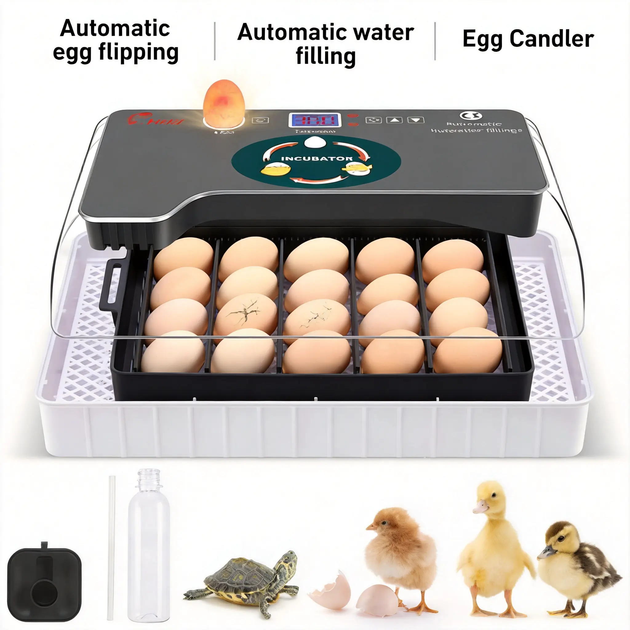 Egg Incubator for Hatching Chicks, Automatic Egg Turner Holds 12 Eggs