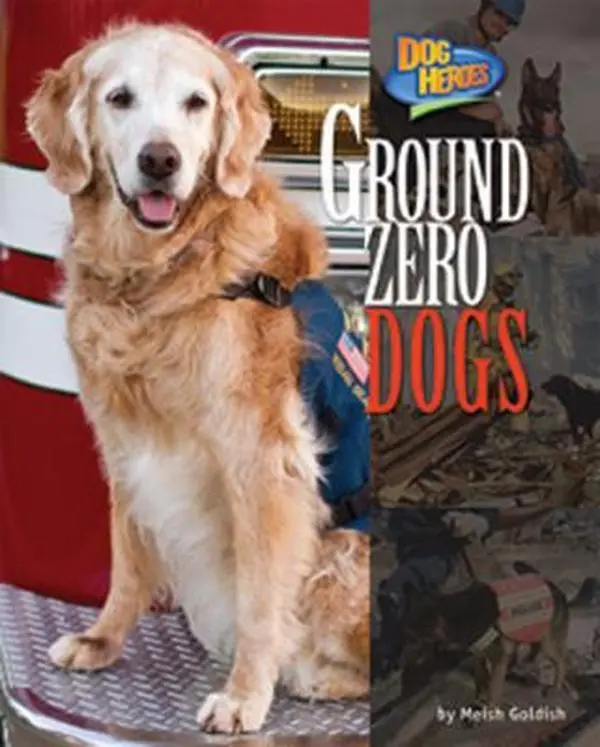 USED-Ground Zero Dogs by Goldish, Meish (Library Binding)