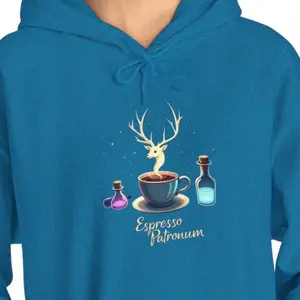 Harry Potter Espresso Patronum Hoodie, Coffee Lovers Sweatshirt, Universal Studios Cozy Hooded Sweatshirt, Warm Hogwarts Inspired Jumper