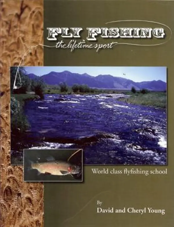 USED-Fly Fishing: The Lifetime Sport by David Young (Paperback)