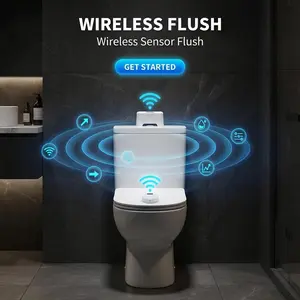 Automatic Smart Toilet Flush.