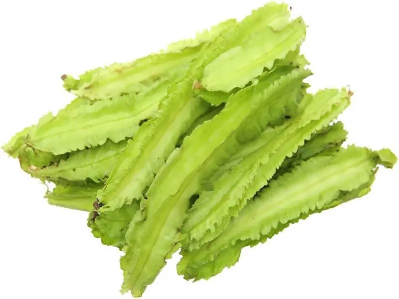 Dragon Bean Nutrient-Dense Winged Beans Home Seeds 3 Pack x 100 Seeds Easy to Grow Perennial Container Balcony