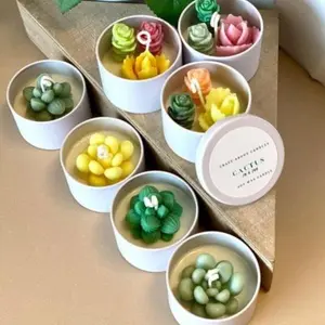 Cactus in a Jar Scented Candle - Handmade Aroma Bliss