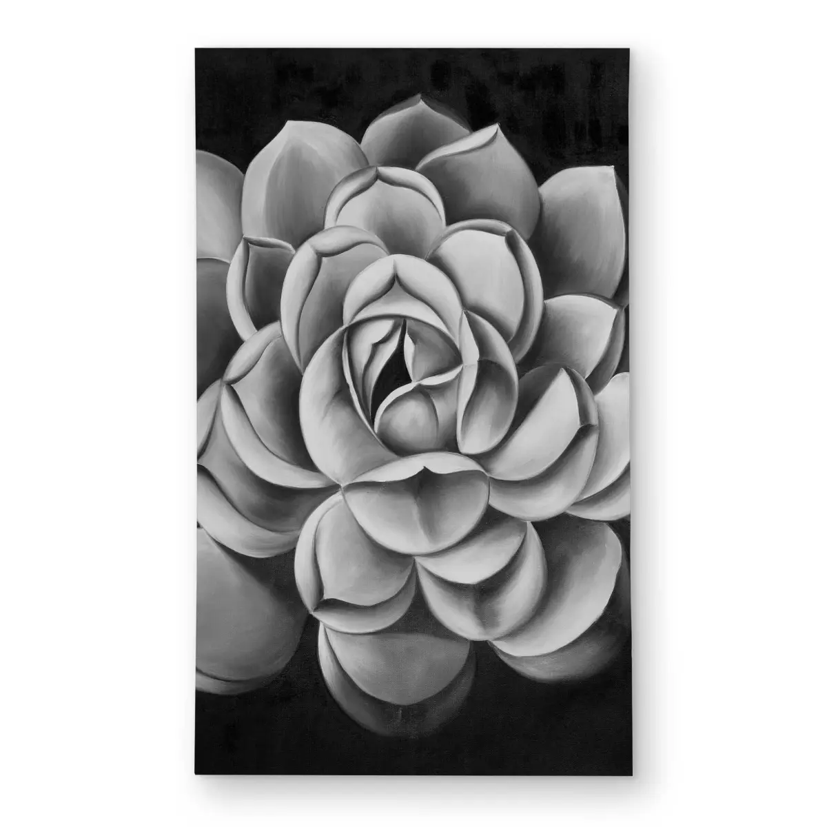 Begin Home Decor C1ROAR35U4QP1D 3 x 5 ft. Black & White Succulent Rectangle Area Rug - Floral Botanical Home Decor