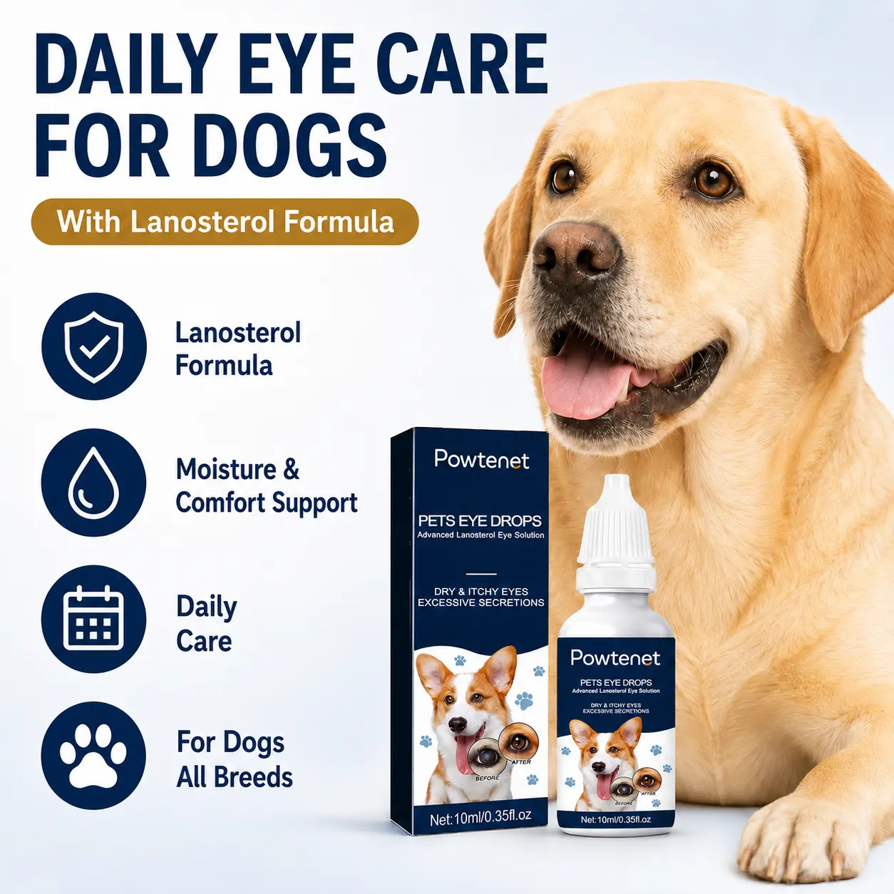 Powtenet Pet eye drops containing lanosterol to relieve and prevent cloudy, dry, itchy, and excessively secreting eyes. 10 ml for daily eye care. Suitable for all dog breeds.