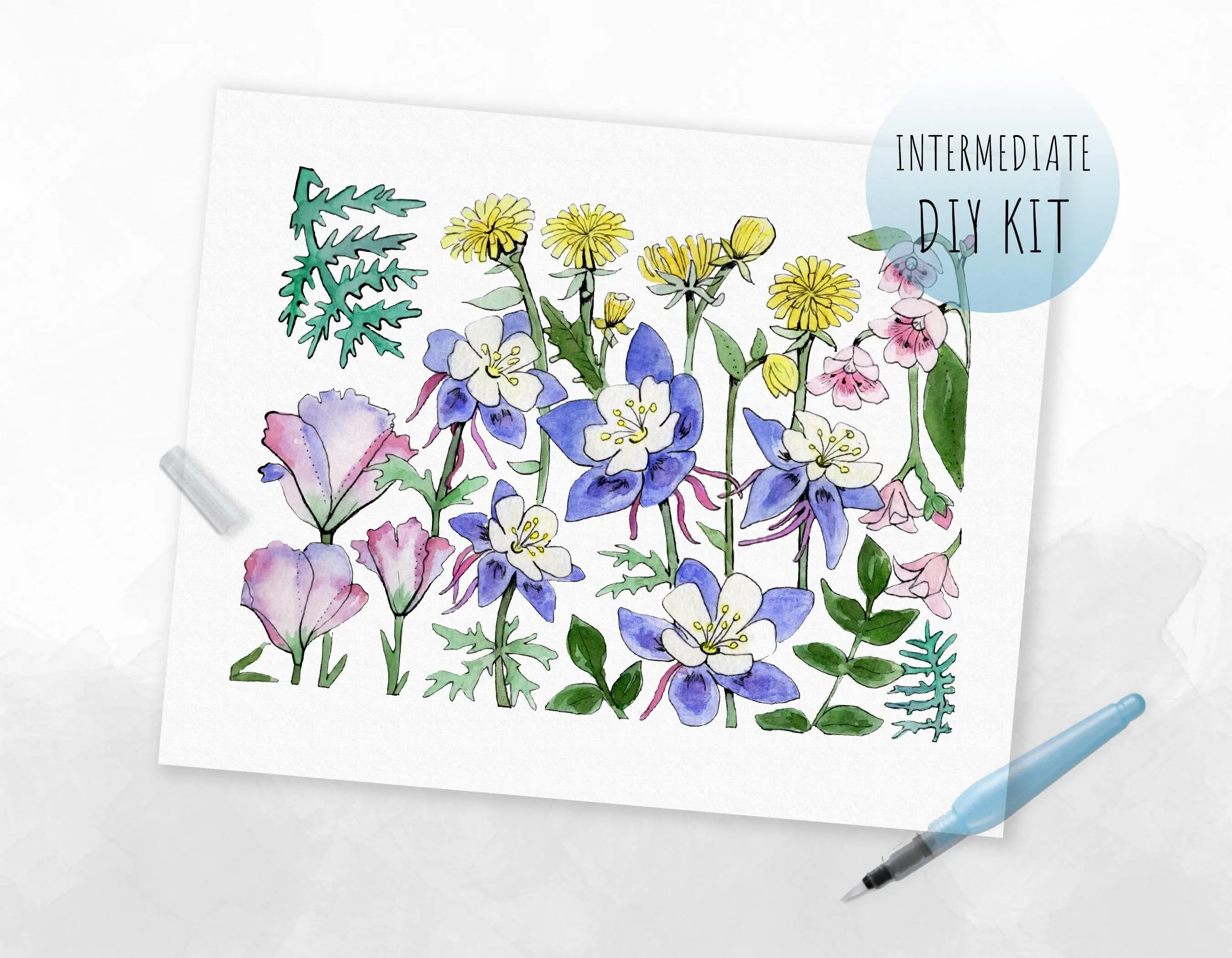 Colorado Wildflowers - DIY Kit with Colorful Flower Designs Watercolor Kit for Beginners