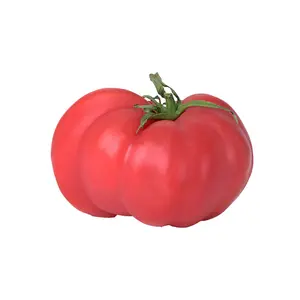 Brandywine Pink Tomato Seeds - Old Heirloom with Rich Tomato Flavor