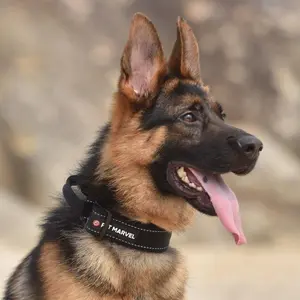 Tactical Dog Lightweight Collar with Control Handle Durable 1000D Nylon Padded Interior Dual Buckle Quick-Release Clasp Airtag Case for Easy Tracking