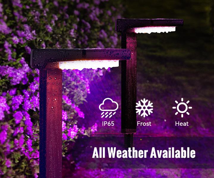 FabStyl RGB Solar Pathway LED Lights, Automatic Sync of Lighting Color, 8 Colors, Durable Waterproof for Outdoor, Auto ON/OFF, Easy Installation, Perfect for Festival Decor, Patio, Garden, Yard, Pathways, Walkways Decorative Lamp Panel FallFreshness FabStyl RGB Solar Pathway LED Lights, Automatic Sync of Lighting Color, 8 Colors, Durable Waterproof for Outdoor, Auto ON/OFF, Easy Installation, Perfect for Festival Decor, Patio, Garden, Yard, Pathways, Walkways Decorative Lamp Panel FallFreshness