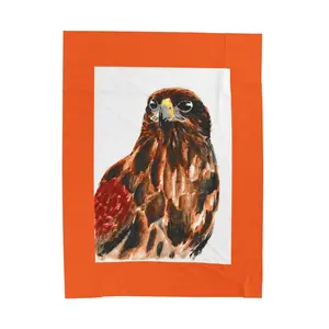 Snuggle up with Remus the Harris Hawk-Velveteen Plush Blanket