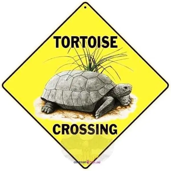 Metal Aluminum Tortoise Crossing Sign, 12x12in Home Decor Wall Decoration Plaque, color50 Home Supplies Sign