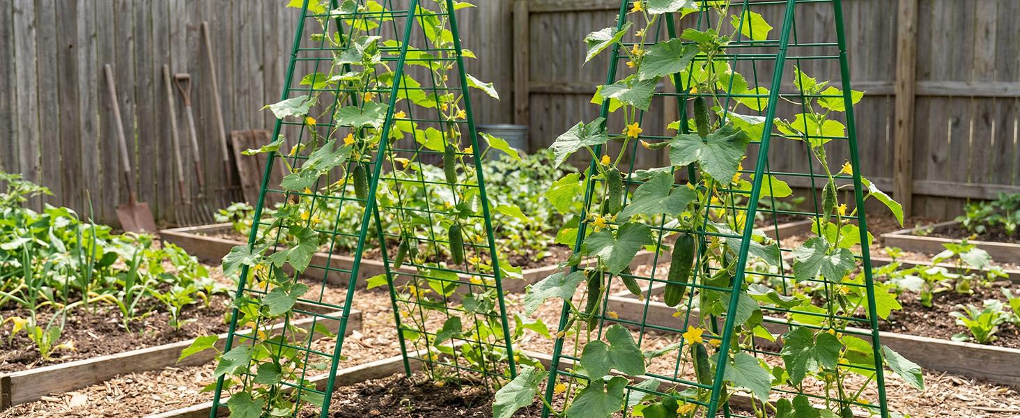 【SummerWins】Lilypelle Heavy Duty Adjustable A-Frame Cucumber Trellis for Climbing Plants,59"x19"Metal mesh Design,Rust-Proof and UV-Resistant,Garden Trellis for Cucumber Beans and Vine Type Plants 【SummerWins】Lilypelle Heavy Duty Adjustable A-Frame Cucumber Trellis for Climbing Plants,59"x19"Metal mesh Design,Rust-Proof and UV-Resistant,Garden Trellis for Cucumber Beans and Vine Type Plants