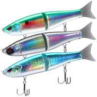 Black/Silver +Gizzard Shad +Sardine