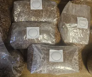 2lb sterile mushroom spawn bag- whole grain