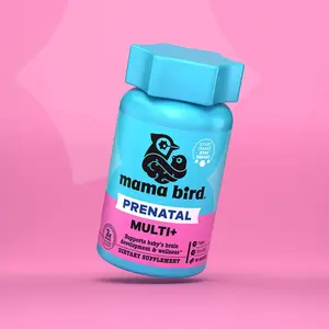 Mama Bird Prenatal Multi+ - Methylated Vitamins for Baby's Brain Development & Organic Herbs for Digestion - Pregnancy Support Supplement