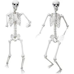 Halloween Skeleton Decorations,5.9Ft Life Size Skeleton 2 count Posable Skeleton Full Size Plastic Human Skeleton with Movable Joint for Halloween Outdoor Indoor Decor (Grey, 5.9Ft)