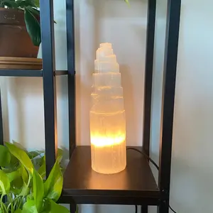 Selenite Iceburg Lamp