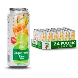 VINUT Ginger Honey & Lime Juice Drink 24-Pack 16.9 Fl Oz Natural Fruit Beverage Zesty Refreshing 85% Real Juice Zero Added Sugars