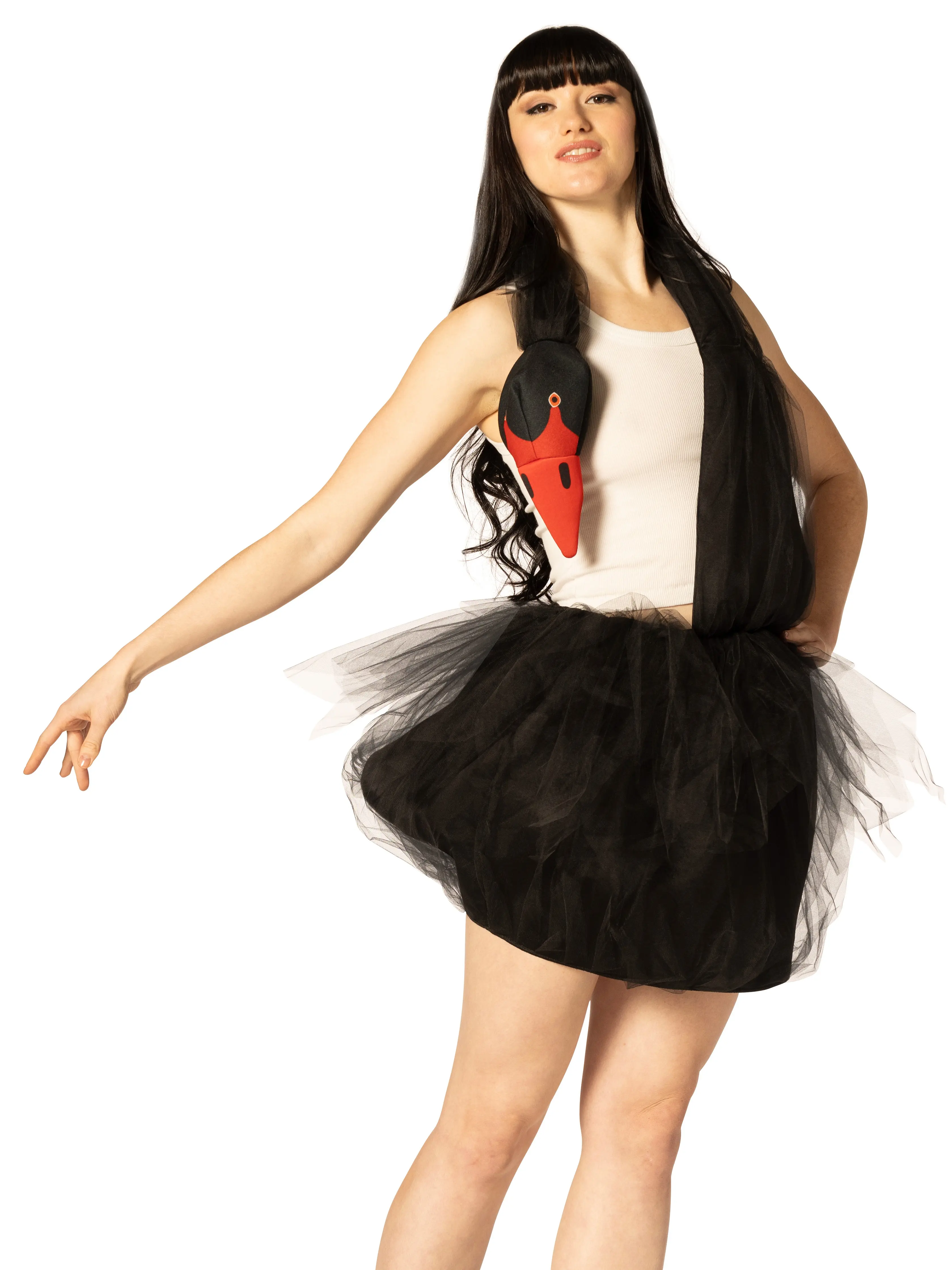 Black Swan Costume