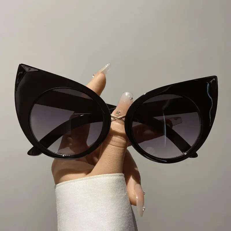 Creative Cute Large Size Cat Eye Frame Glasses, Trendy Outdoor Beach Party Glasses, Fashion Accessories for Women & Men, Trendy Beach Eyewear, Fashion Shades