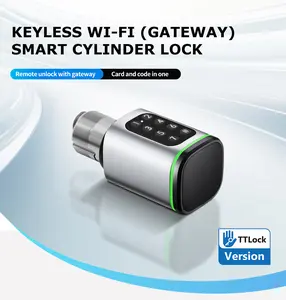 Smart Storefront and Narrow Mortise Cylinder WiFi M401W-P Lock