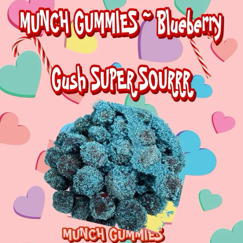 Munch Gummies ~ Super Sour Blueberry Gush Chamoy Gummies, 8oz Candy